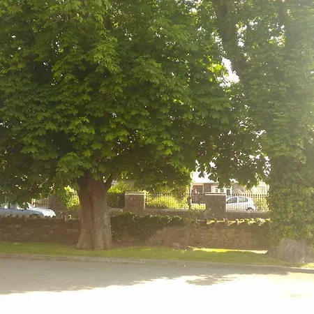 Conn Oriel Tralee